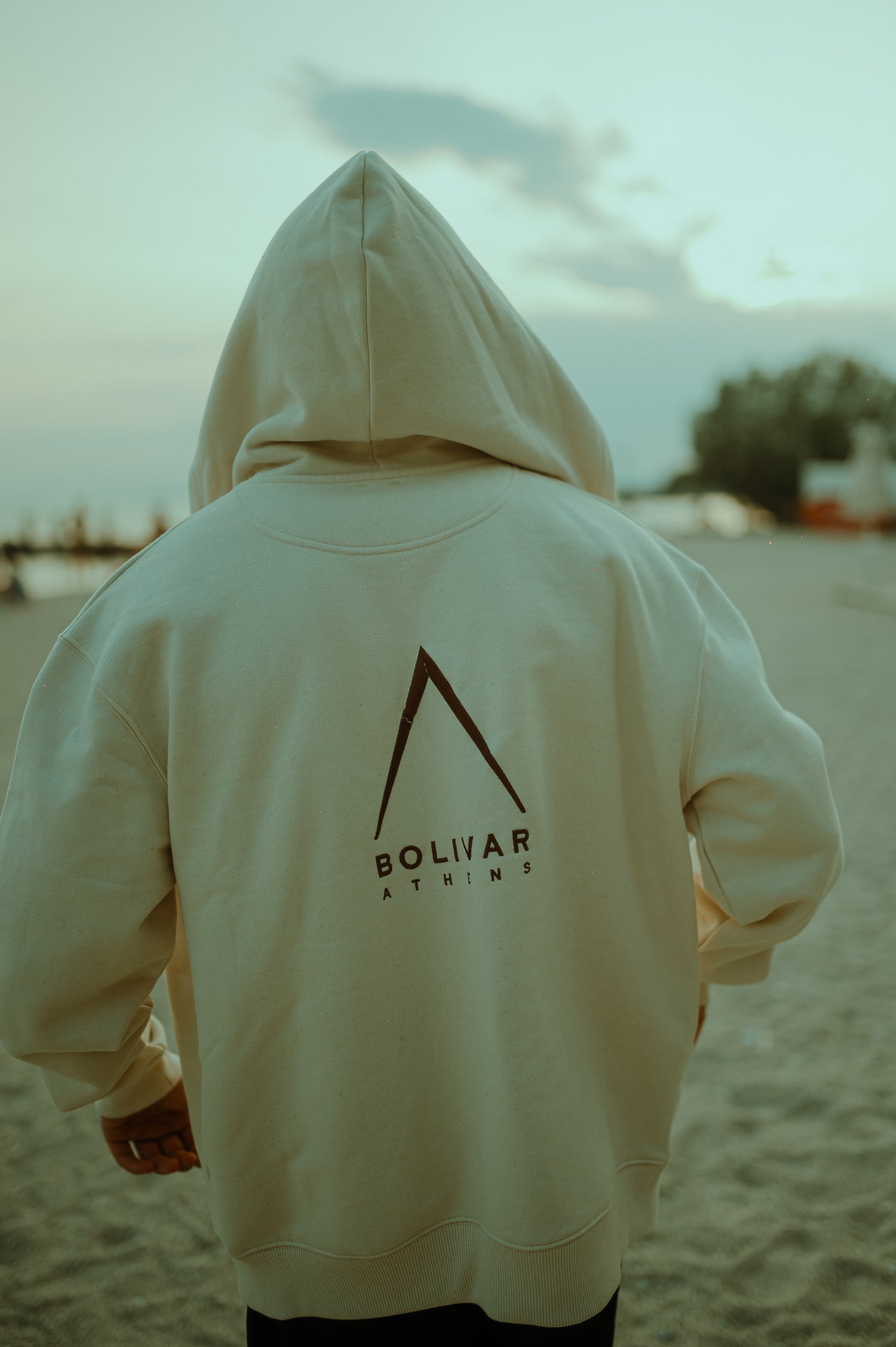 Zipper Hoodie Roof Logo In Ecru
